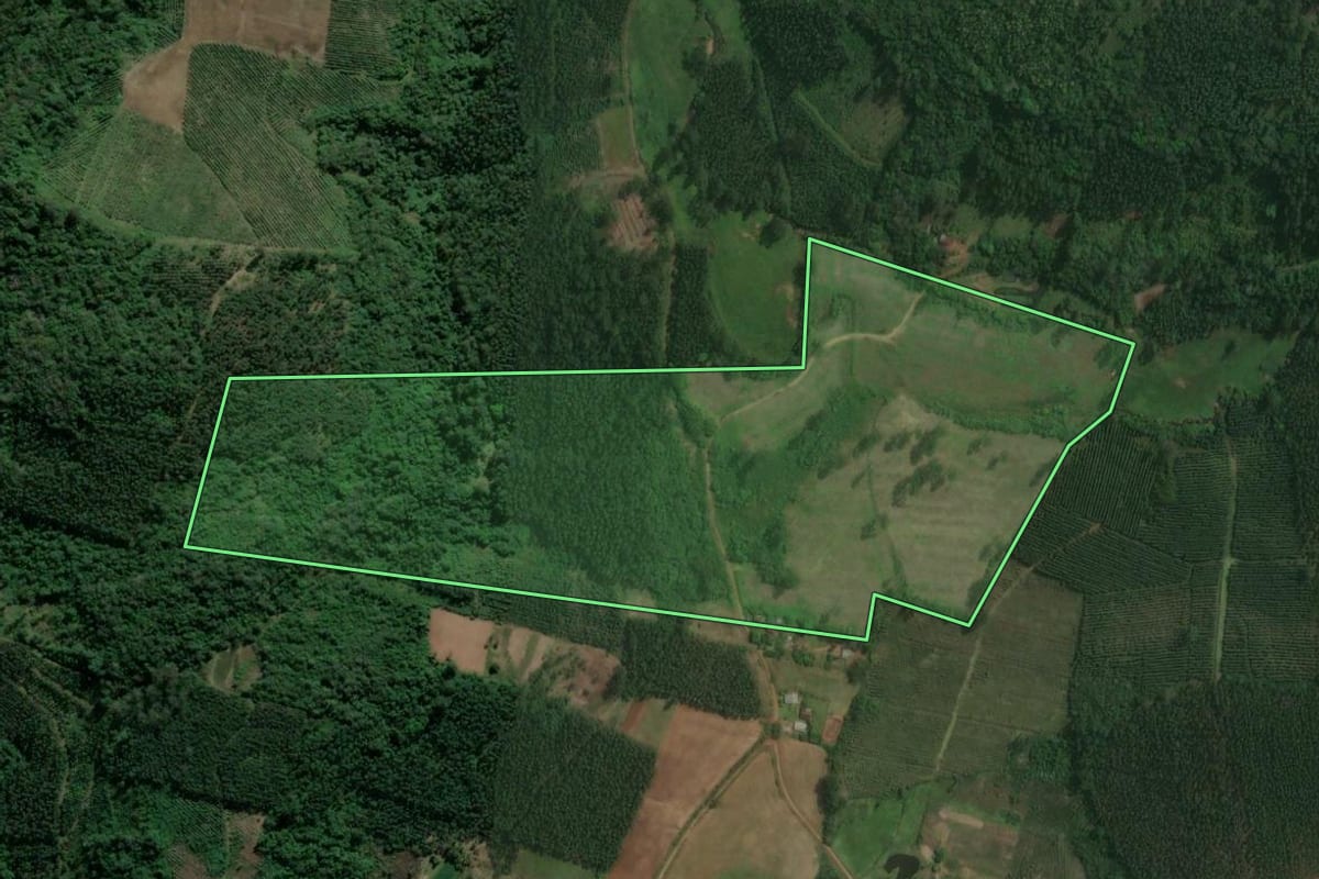 Imagem de satélite do imóvel rural em Tabaí (RS), com o contorno declarado no CAR desenhado por cima.