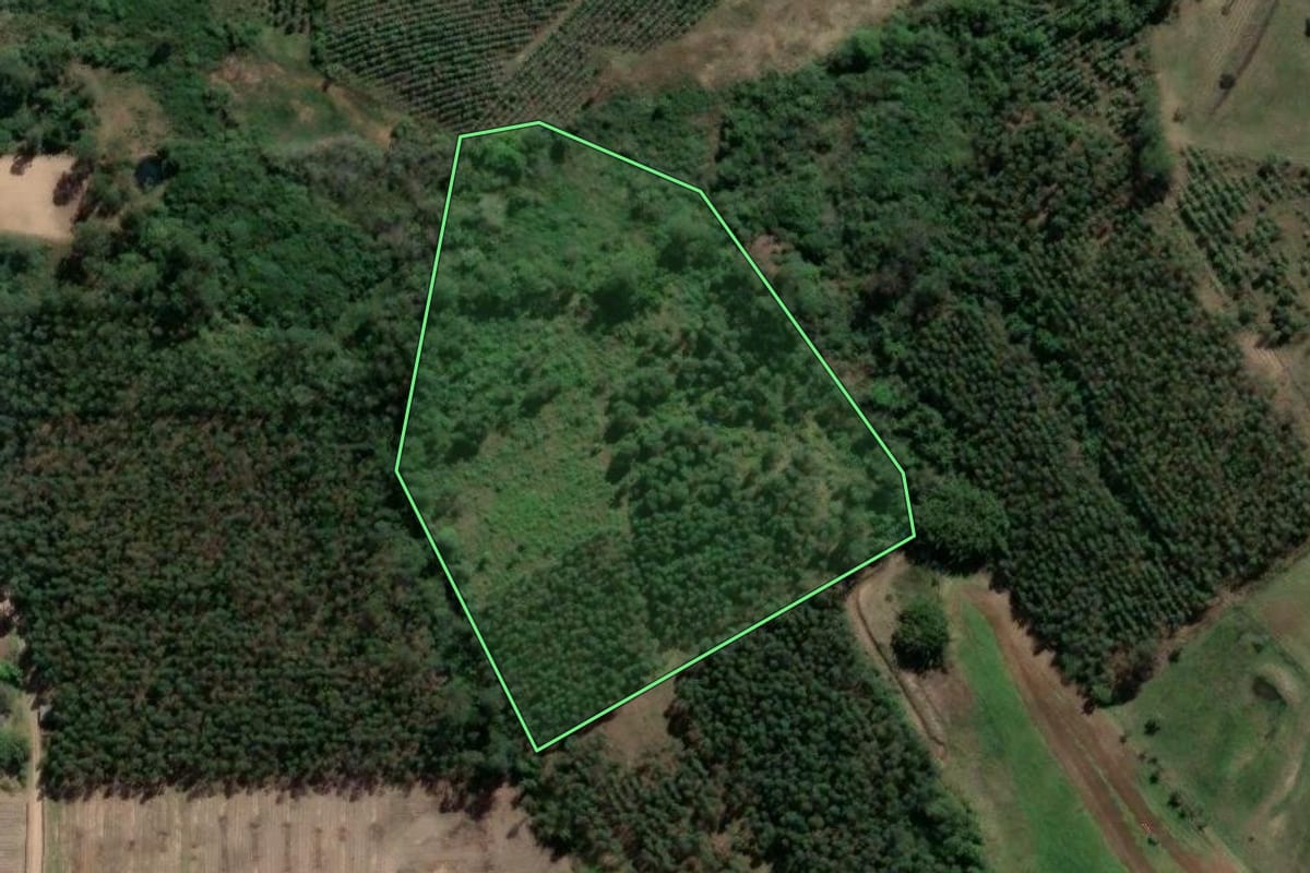 Imagem de satélite do imóvel rural em Tabaí (RS), com o contorno declarado no CAR desenhado por cima.