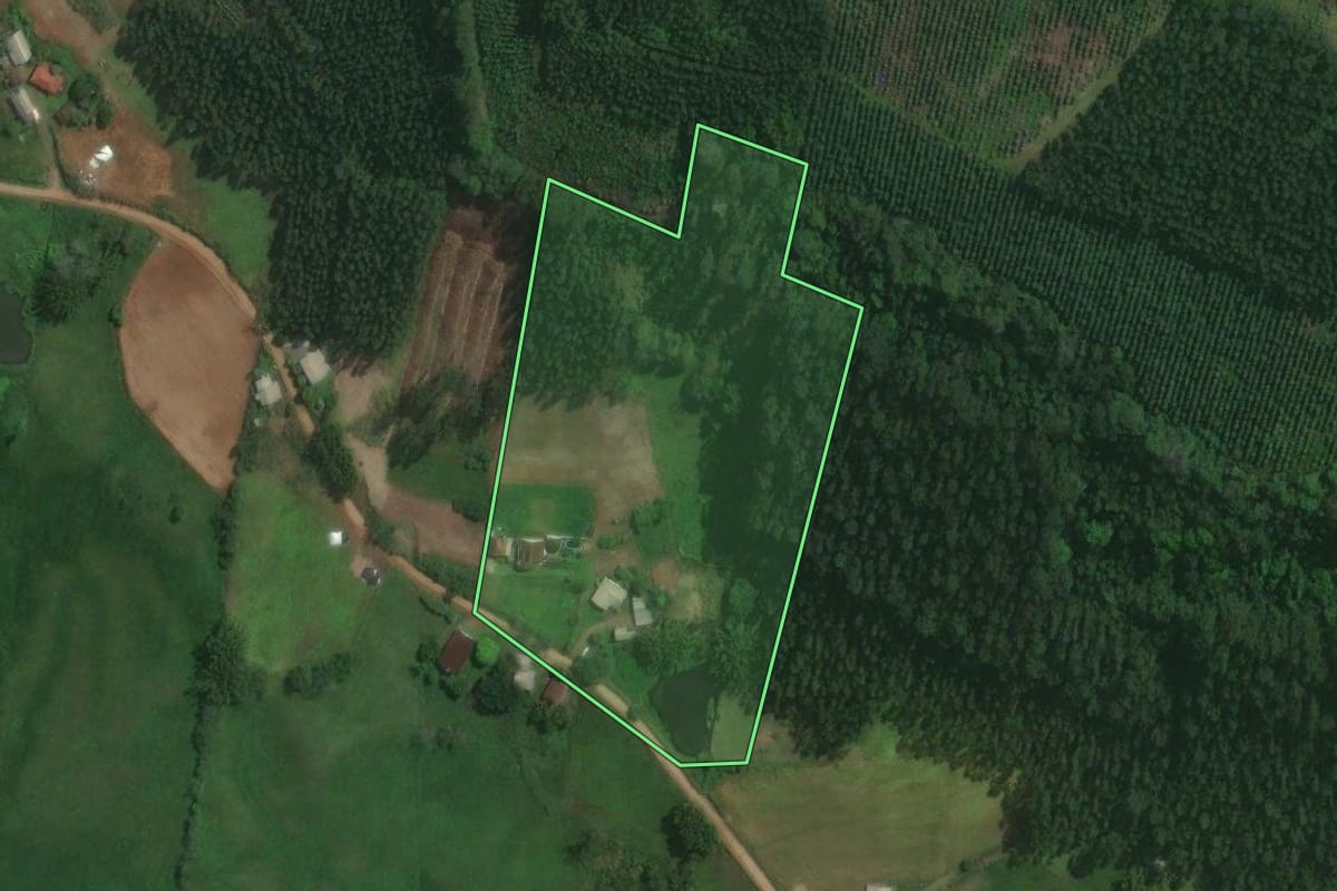 Imagem de satélite do imóvel rural em Tabaí (RS), com o contorno declarado no CAR desenhado por cima.