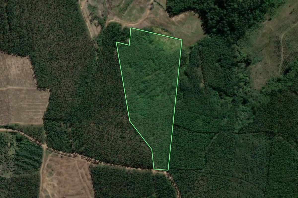 Imagem de satélite do imóvel rural em Tabaí (RS), com o contorno declarado no CAR desenhado por cima.