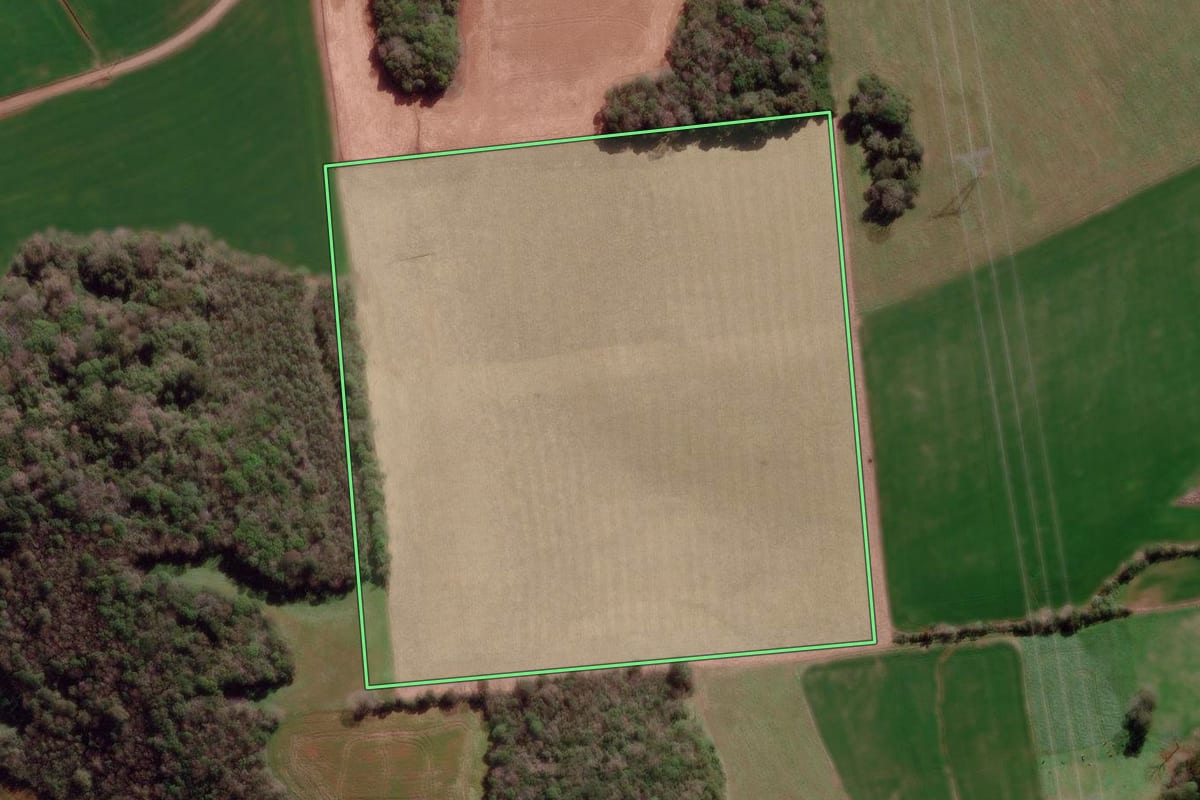 Imagem de satélite do imóvel rural em Tapejara (RS), com o contorno declarado no CAR desenhado por cima.