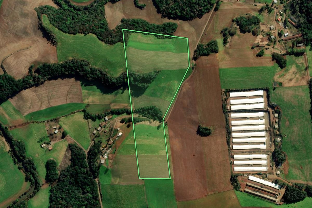 Imagem de satélite do imóvel rural em Tapejara (RS), com o contorno declarado no CAR desenhado por cima.