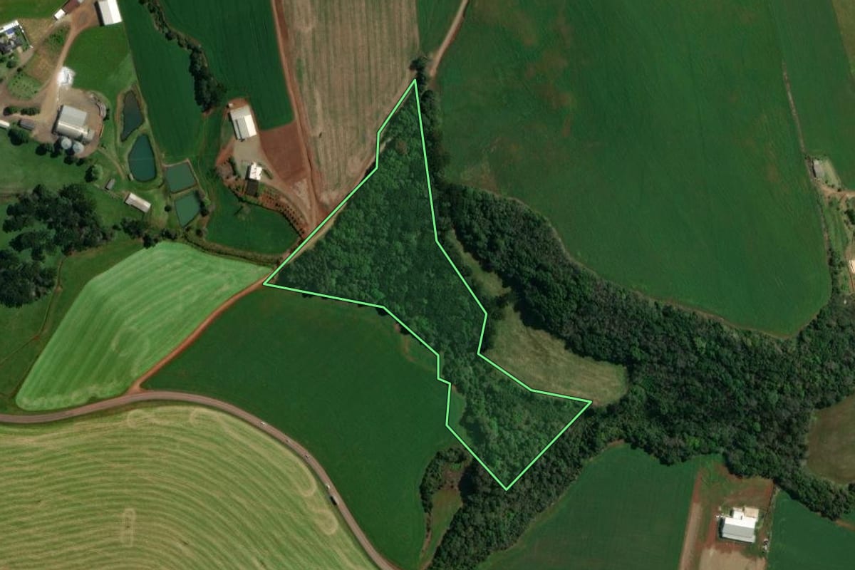 Imagem de satélite do imóvel rural em Tapejara (RS), com o contorno declarado no CAR desenhado por cima.