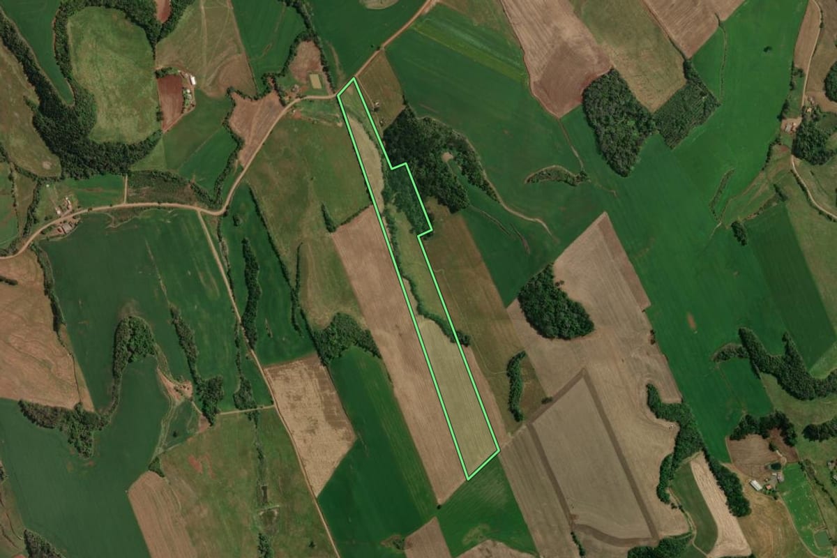 Imagem de satélite do imóvel rural em Tapejara (RS), com o contorno declarado no CAR desenhado por cima.
