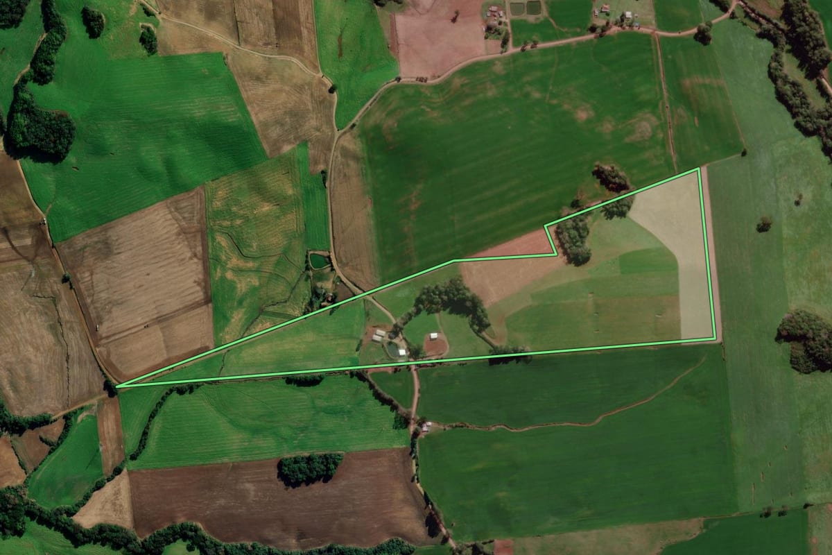 Imagem de satélite do imóvel rural em Tapejara (RS), com o contorno declarado no CAR desenhado por cima.