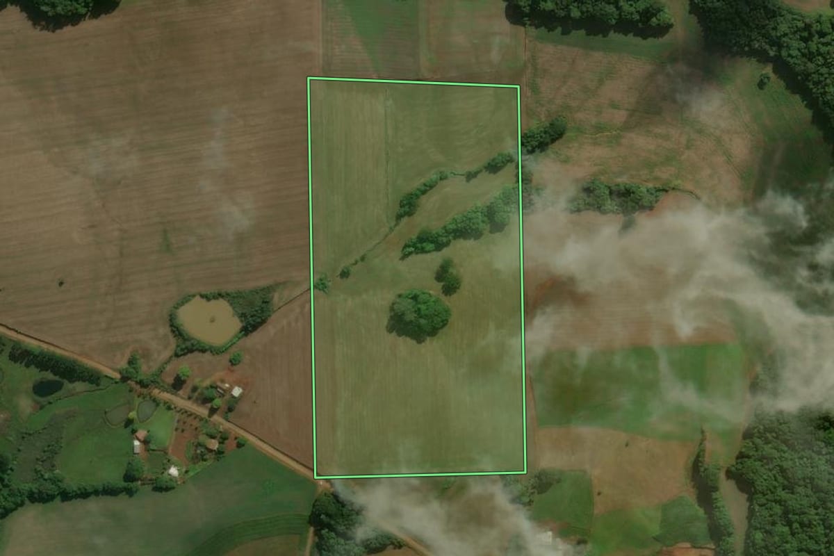 Imagem de satélite do imóvel rural em Tapejara (RS), com o contorno declarado no CAR desenhado por cima.