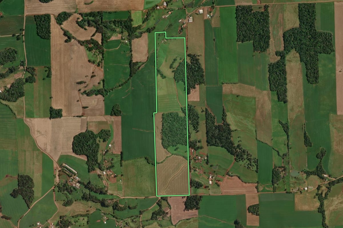 Imagem de satélite do imóvel rural em Tapejara (RS), com o contorno declarado no CAR desenhado por cima.