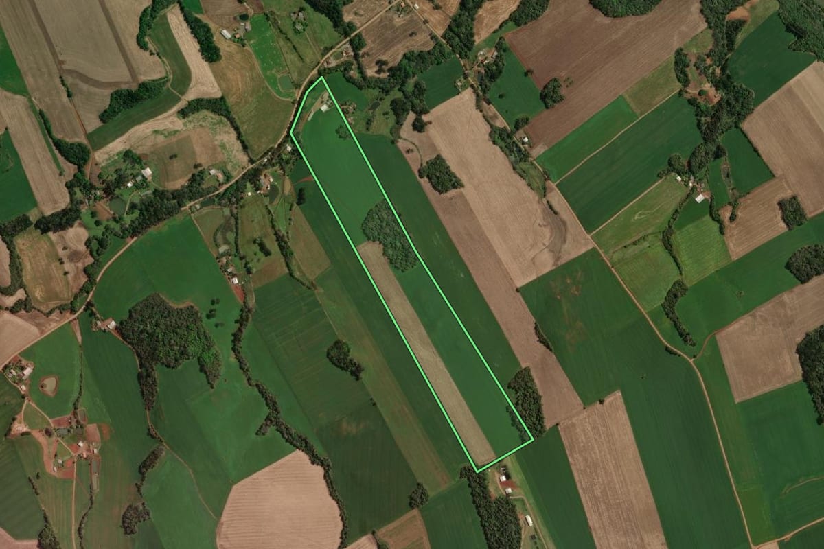 Imagem de satélite do imóvel rural em Tapejara (RS), com o contorno declarado no CAR desenhado por cima.