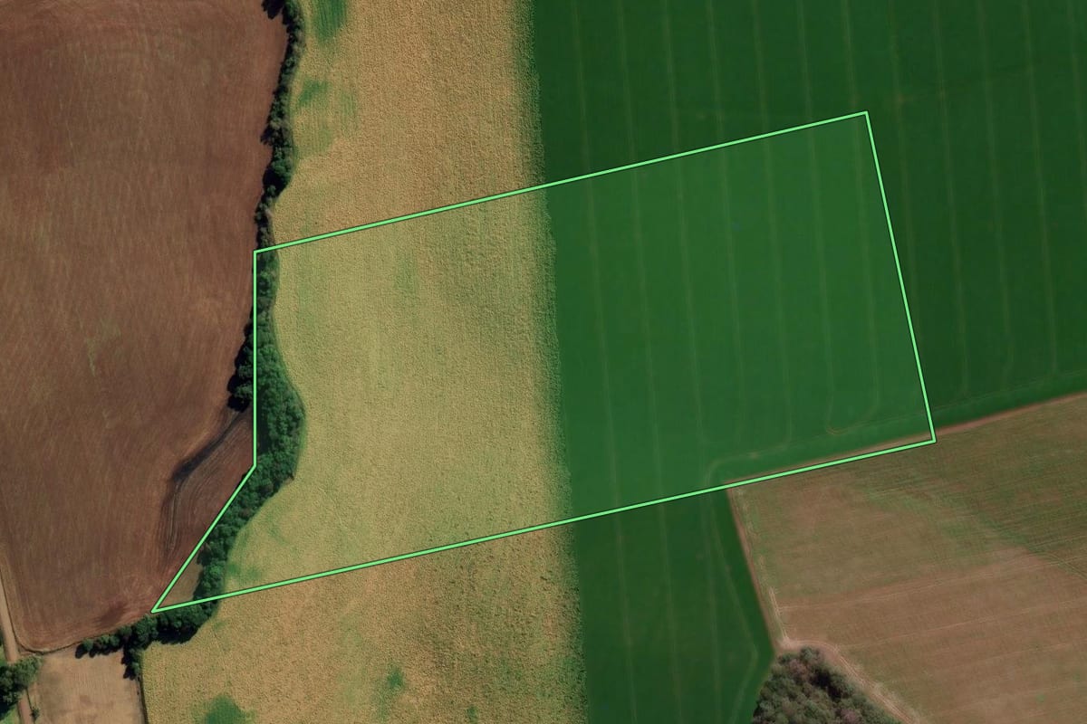 Imagem de satélite do imóvel rural em Tapejara (RS), com o contorno declarado no CAR desenhado por cima.