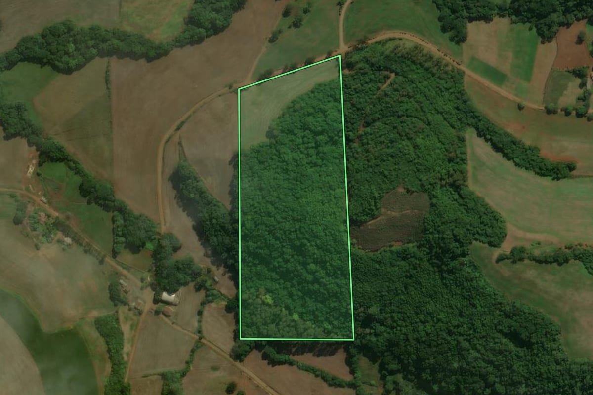 Imagem de satélite do imóvel rural em Tapejara (RS), com o contorno declarado no CAR desenhado por cima.