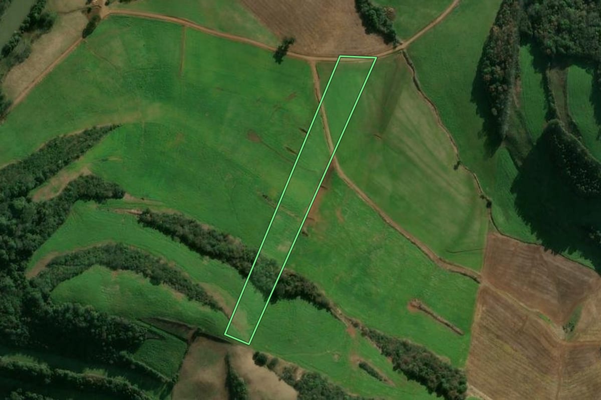 Imagem de satélite do imóvel rural em Tapejara (RS), com o contorno declarado no CAR desenhado por cima.