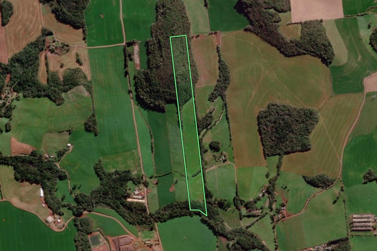 Imagem de satélite do imóvel rural em Tapejara (RS), com o contorno declarado no CAR desenhado por cima.