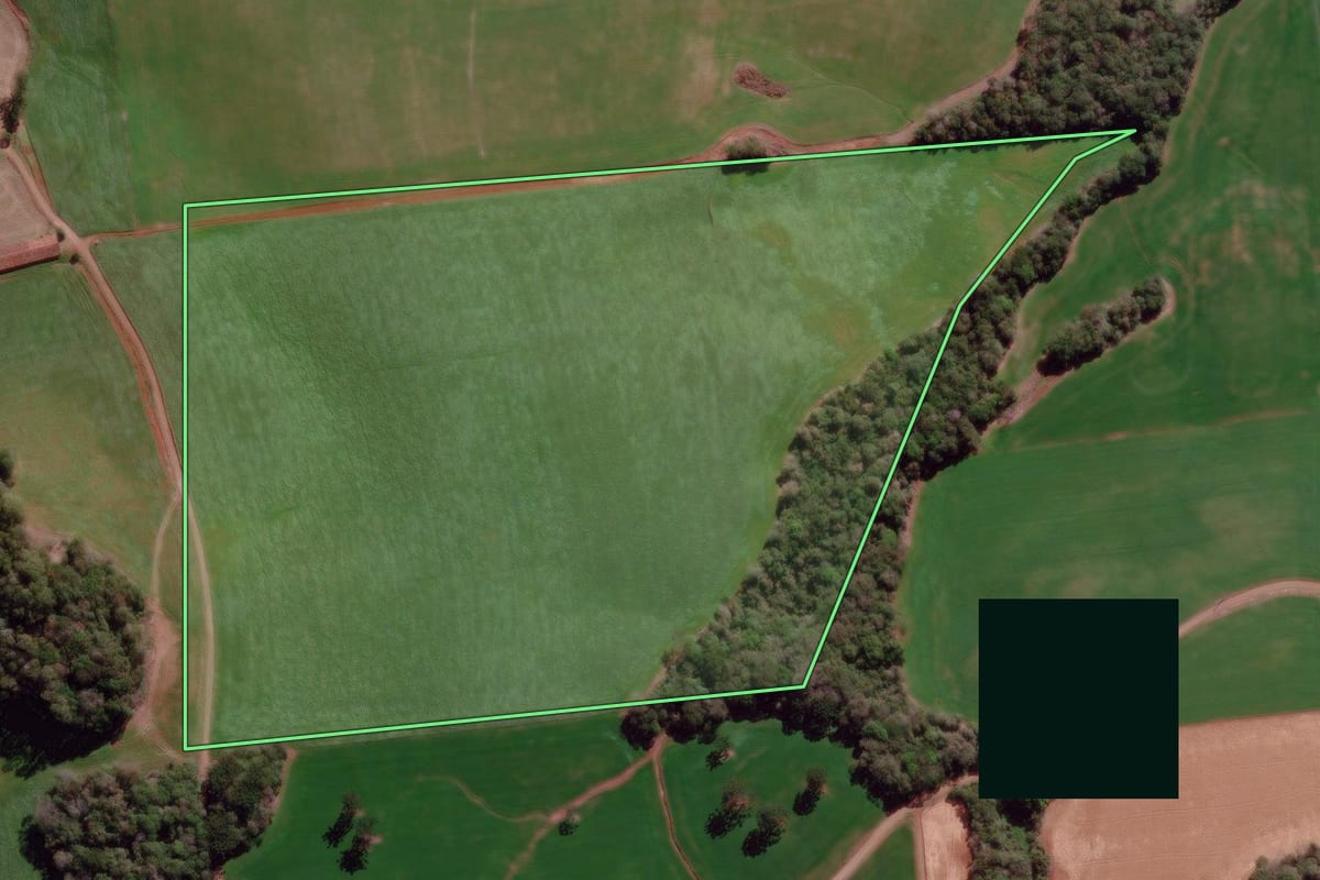 Imagem de satélite do imóvel rural em Tapejara (RS), com o contorno declarado no CAR desenhado por cima.