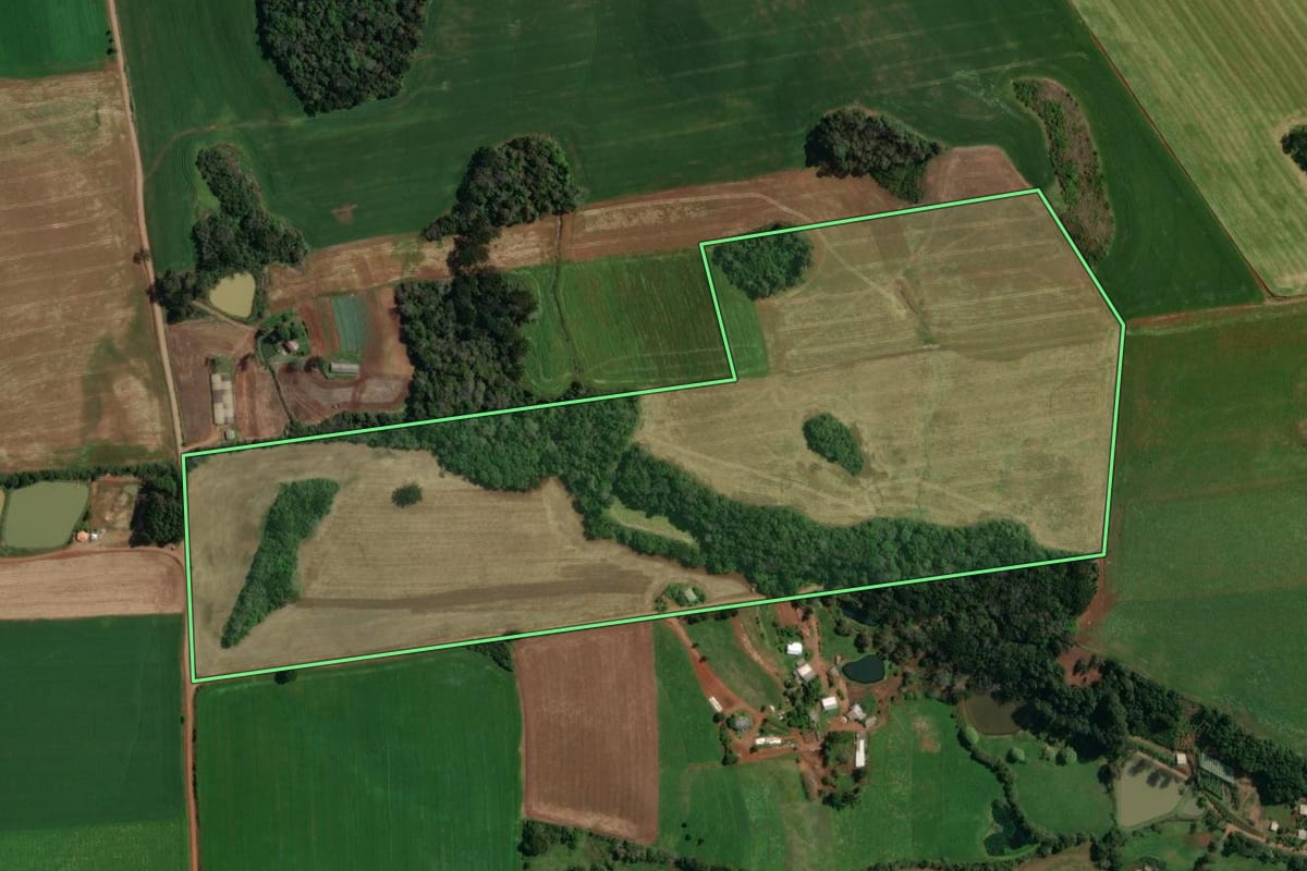 Imagem de satélite do imóvel rural em Tapejara (RS), com o contorno declarado no CAR desenhado por cima.