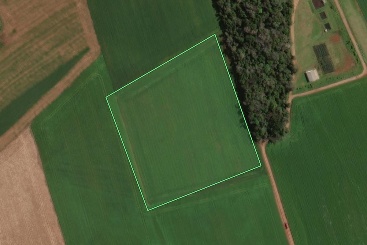 Imagem de satélite do imóvel rural em Tapejara (RS), com o contorno declarado no CAR desenhado por cima.