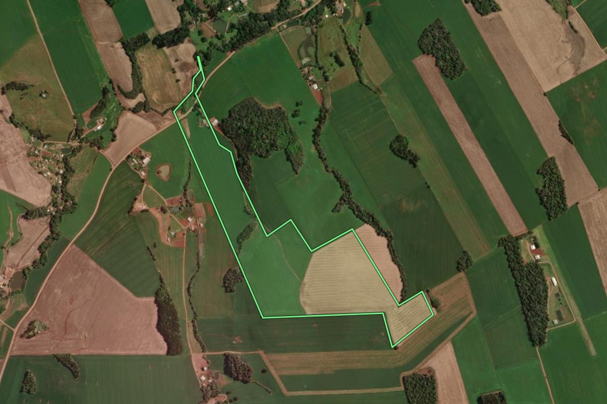 Imagem de satélite do imóvel rural em Tapejara (RS), com o contorno declarado no CAR desenhado por cima.