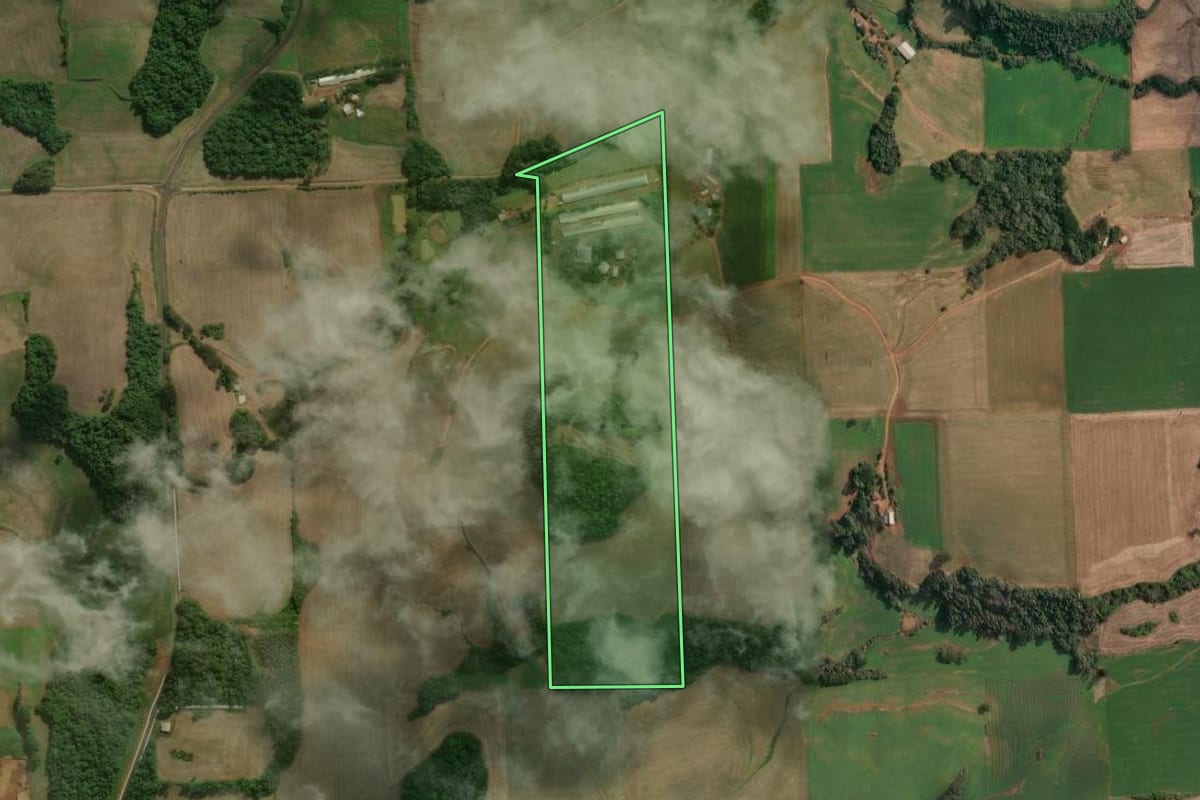 Imagem de satélite do imóvel rural em Tapejara (RS), com o contorno declarado no CAR desenhado por cima.