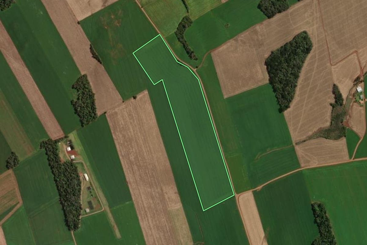 Imagem de satélite do imóvel rural em Tapejara (RS), com o contorno declarado no CAR desenhado por cima.