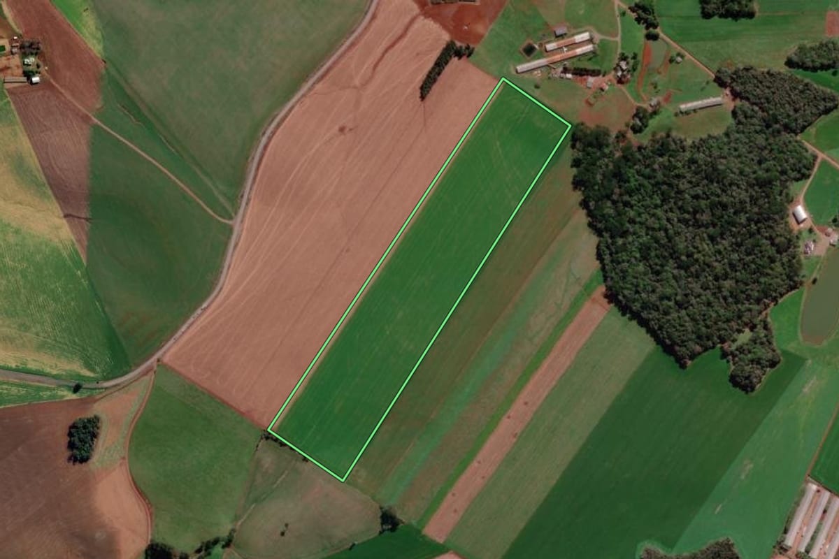 Imagem de satélite do imóvel rural em Tapejara (RS), com o contorno declarado no CAR desenhado por cima.