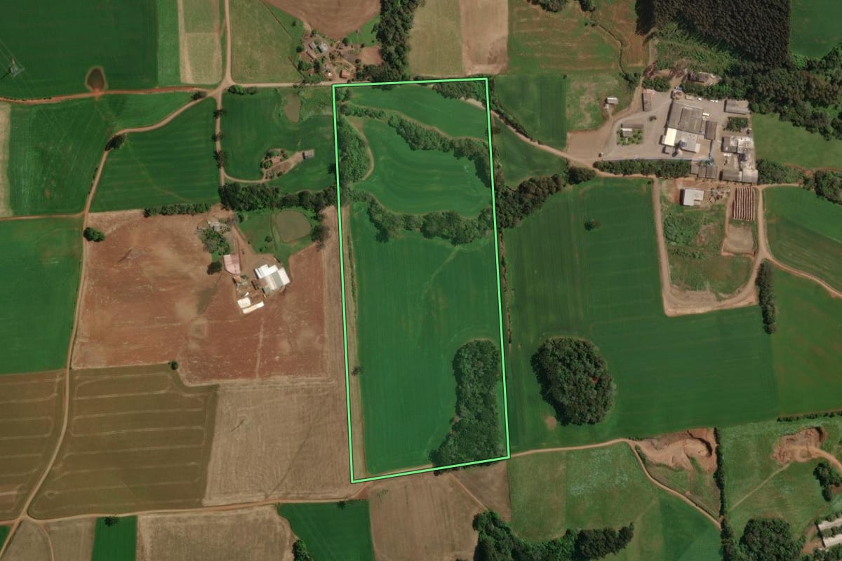 Imagem de satélite do imóvel rural em Tapejara (RS), com o contorno declarado no CAR desenhado por cima.