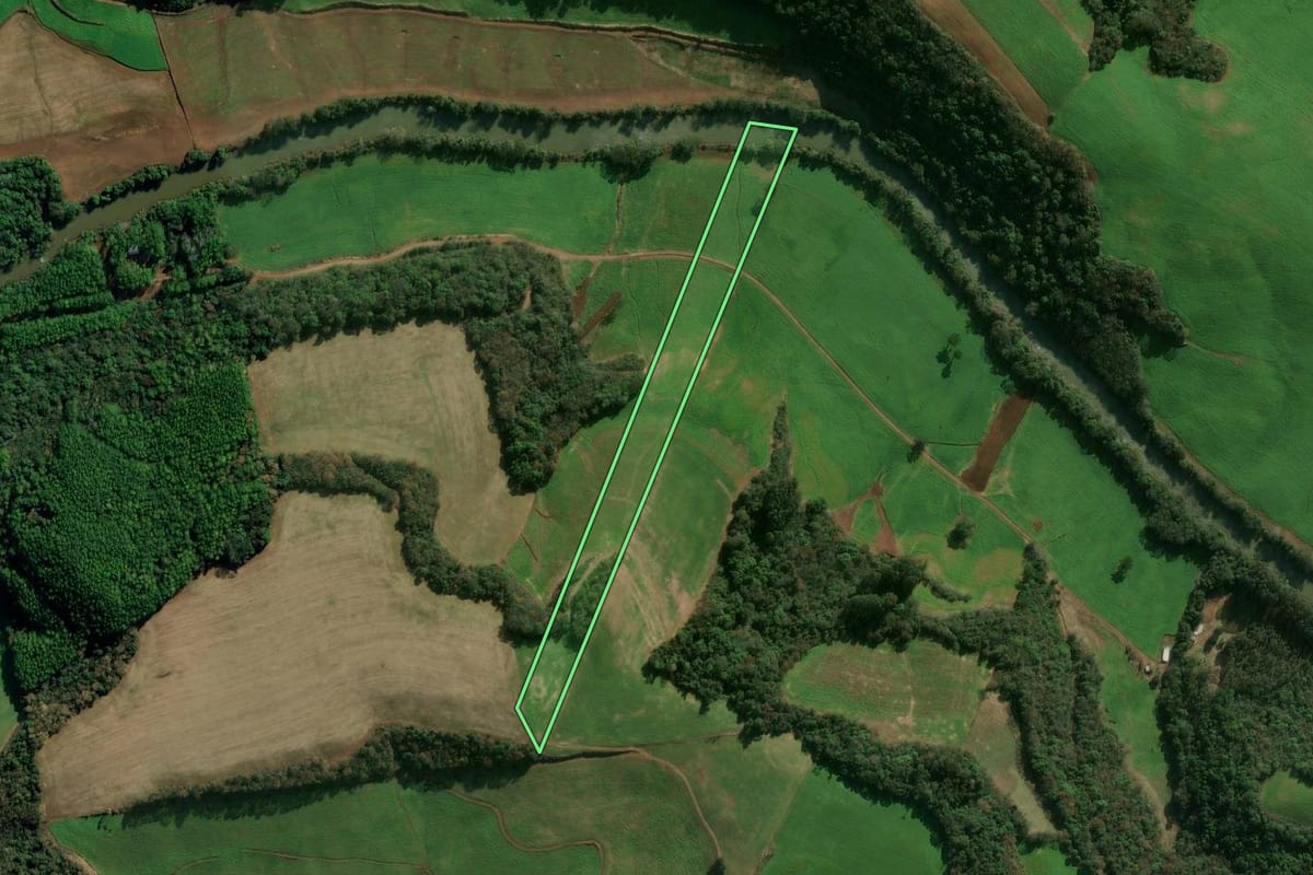 Imagem de satélite do imóvel rural em Tapejara (RS), com o contorno declarado no CAR desenhado por cima.
