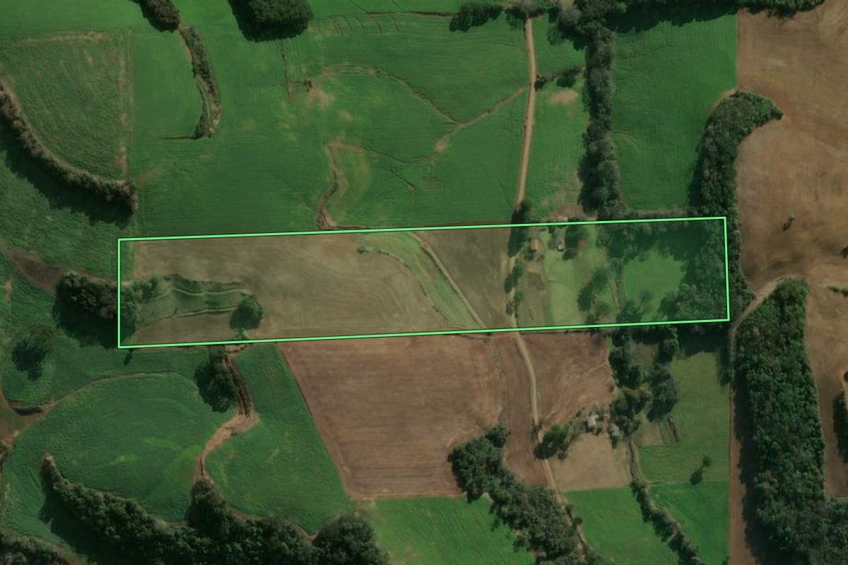 Imagem de satélite do imóvel rural em Tapejara (RS), com o contorno declarado no CAR desenhado por cima.