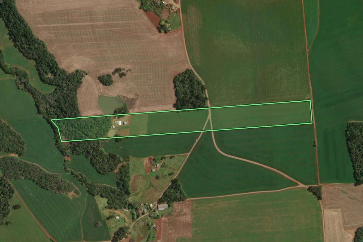 Imagem de satélite do imóvel rural em Tapejara (RS), com o contorno declarado no CAR desenhado por cima.