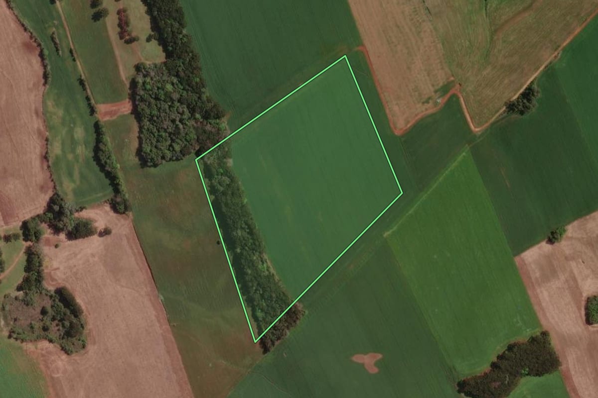 Imagem de satélite do imóvel rural em Tapejara (RS), com o contorno declarado no CAR desenhado por cima.