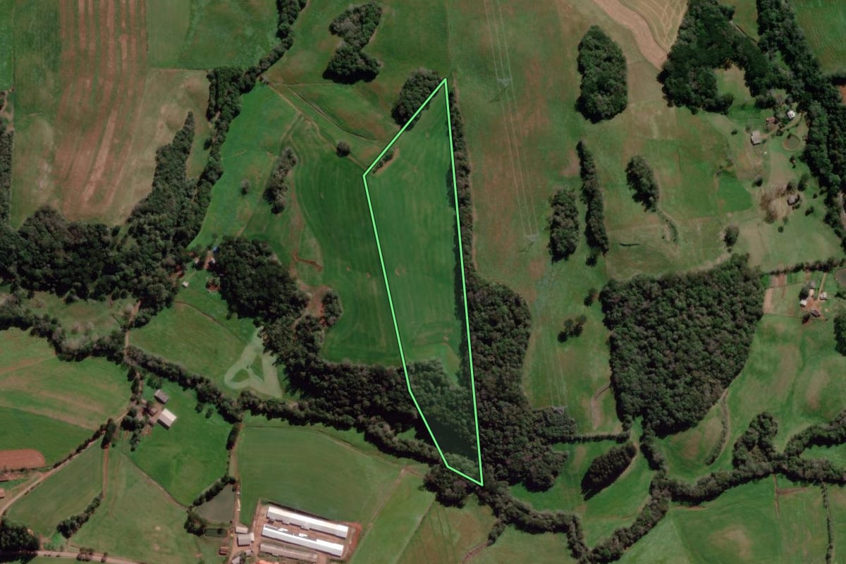 Imagem de satélite do imóvel rural em Tapejara (RS), com o contorno declarado no CAR desenhado por cima.