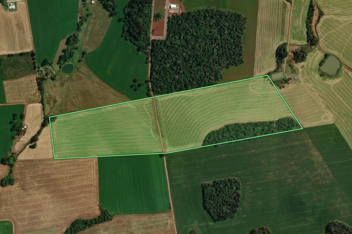 Imagem de satélite do imóvel rural em Tapejara (RS), com o contorno declarado no CAR desenhado por cima.