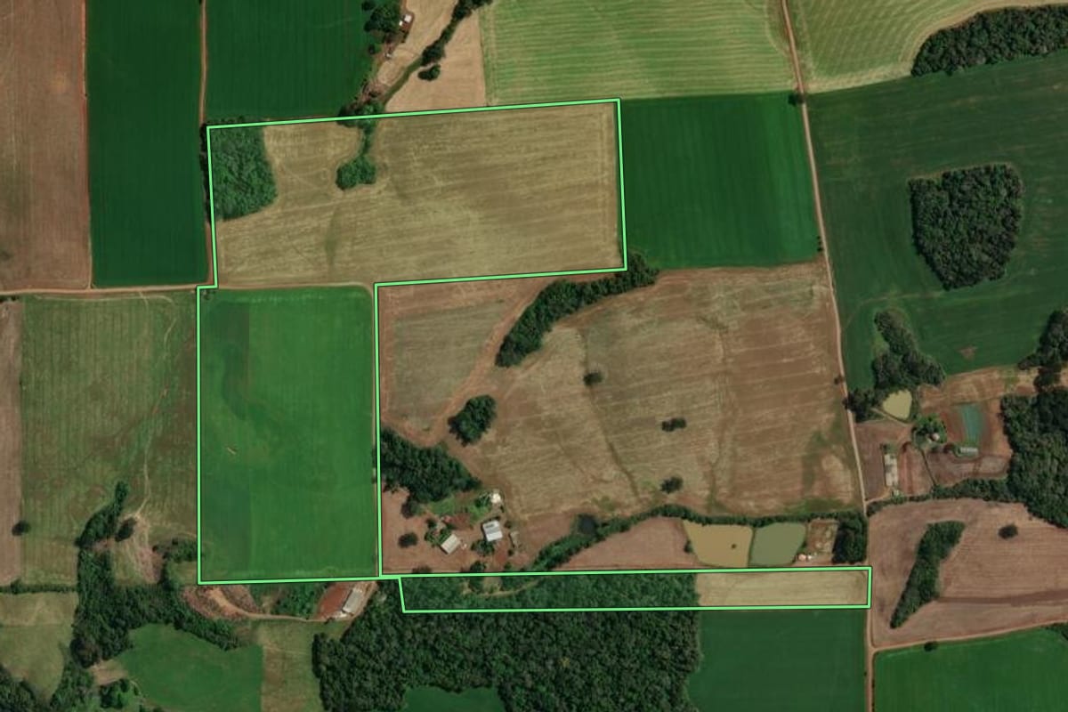 Imagem de satélite do imóvel rural em Tapejara (RS), com o contorno declarado no CAR desenhado por cima.