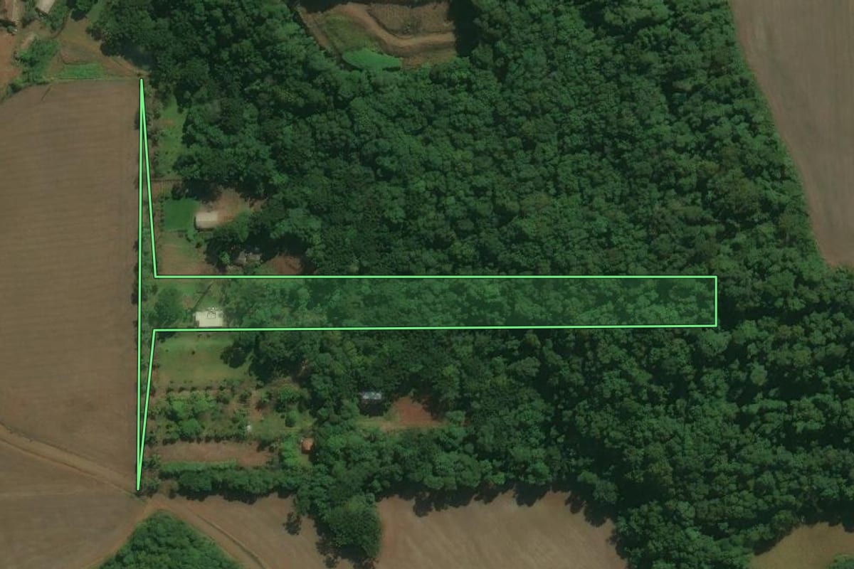 Imagem de satélite do imóvel rural em Tapejara (RS), com o contorno declarado no CAR desenhado por cima.
