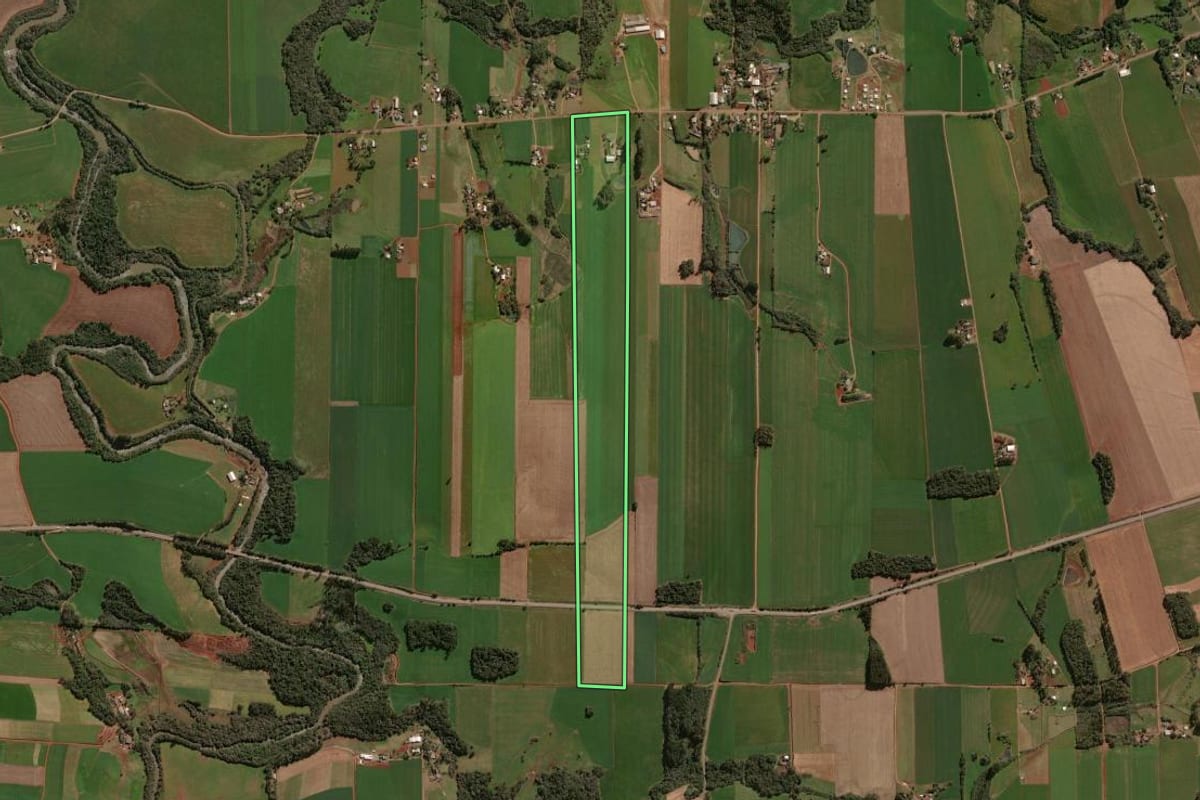 Imagem de satélite do imóvel rural em Tapera (RS), com o contorno declarado no CAR desenhado por cima.