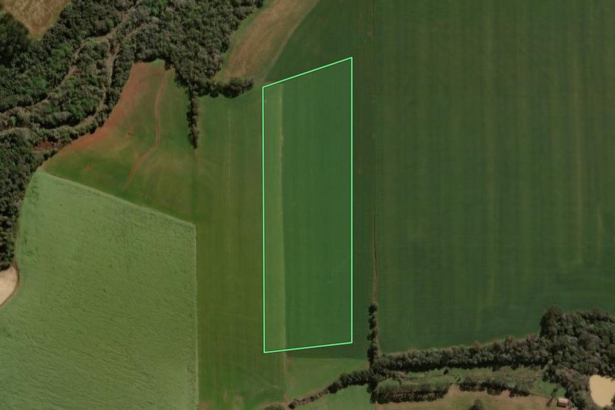Imagem de satélite do imóvel rural em Tapera (RS), com o contorno declarado no CAR desenhado por cima.