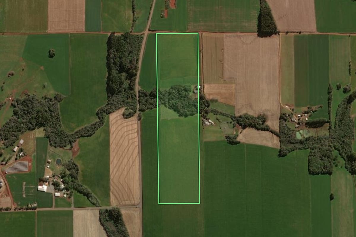 Imagem de satélite do imóvel rural em Tapera (RS), com o contorno declarado no CAR desenhado por cima.
