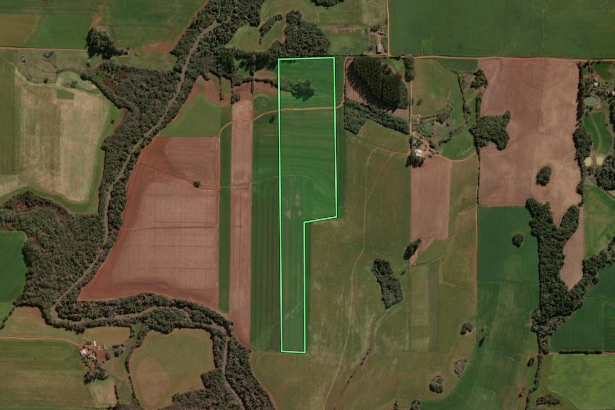 Imagem de satélite do imóvel rural em Tapera (RS), com o contorno declarado no CAR desenhado por cima.