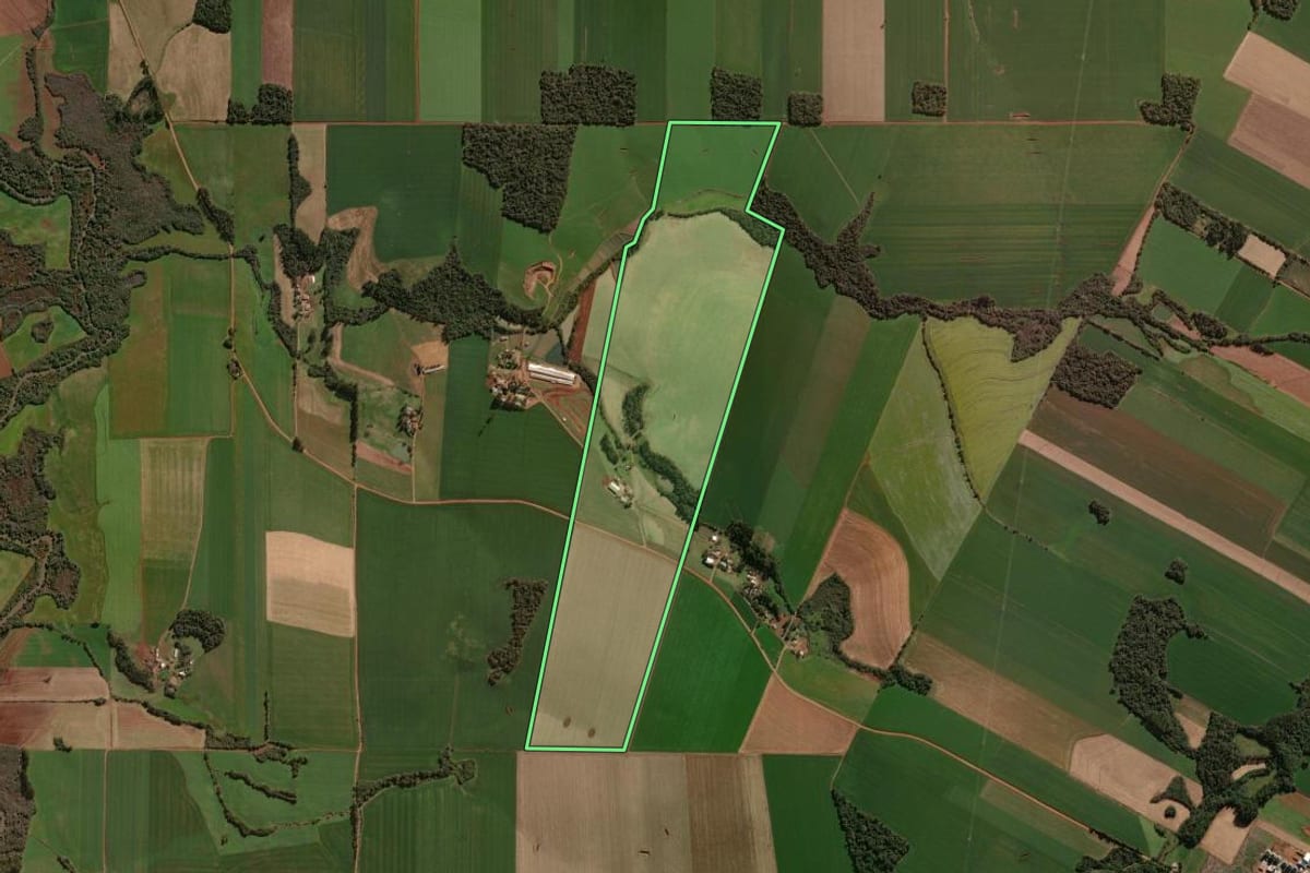 Imagem de satélite do imóvel rural em Tapera (RS), com o contorno declarado no CAR desenhado por cima.