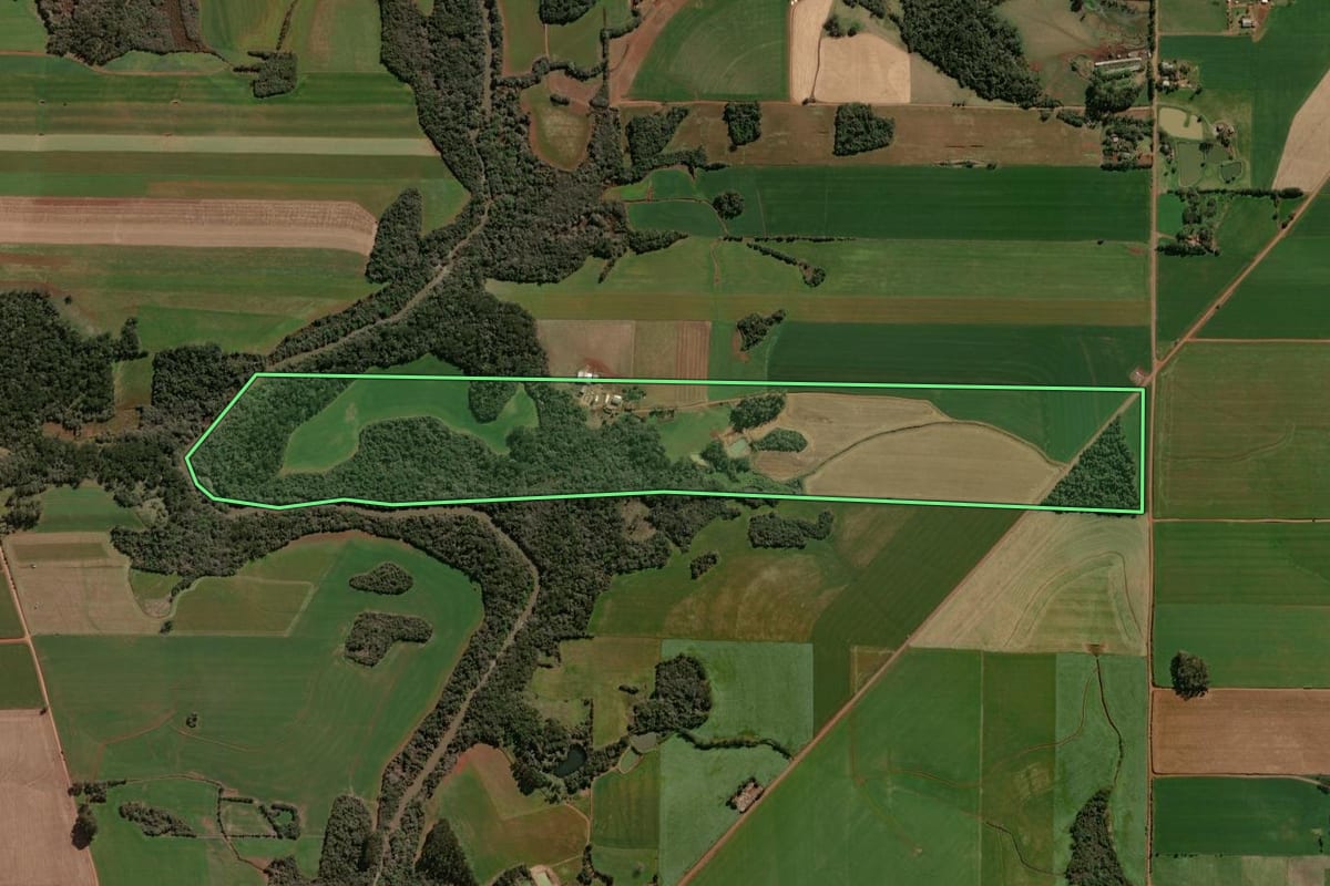 Imagem de satélite do imóvel rural em Tapera (RS), com o contorno declarado no CAR desenhado por cima.