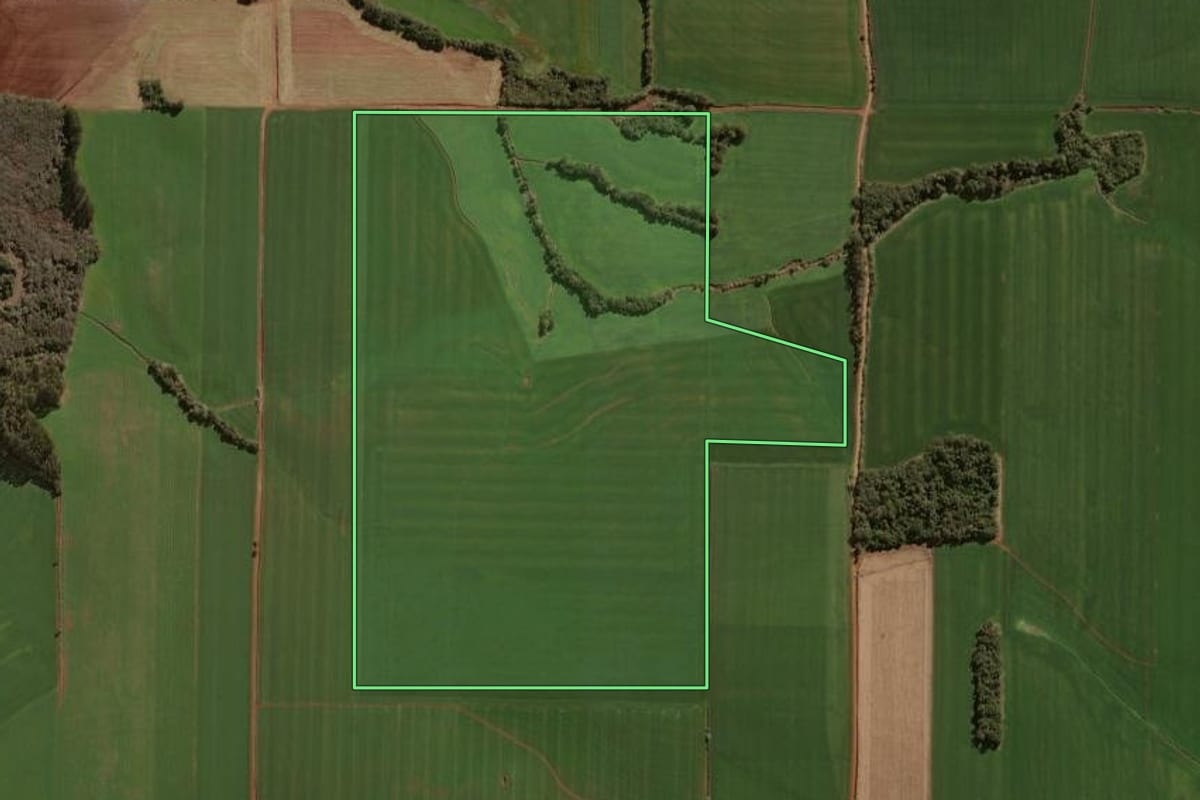 Imagem de satélite do imóvel rural em Tapera (RS), com o contorno declarado no CAR desenhado por cima.