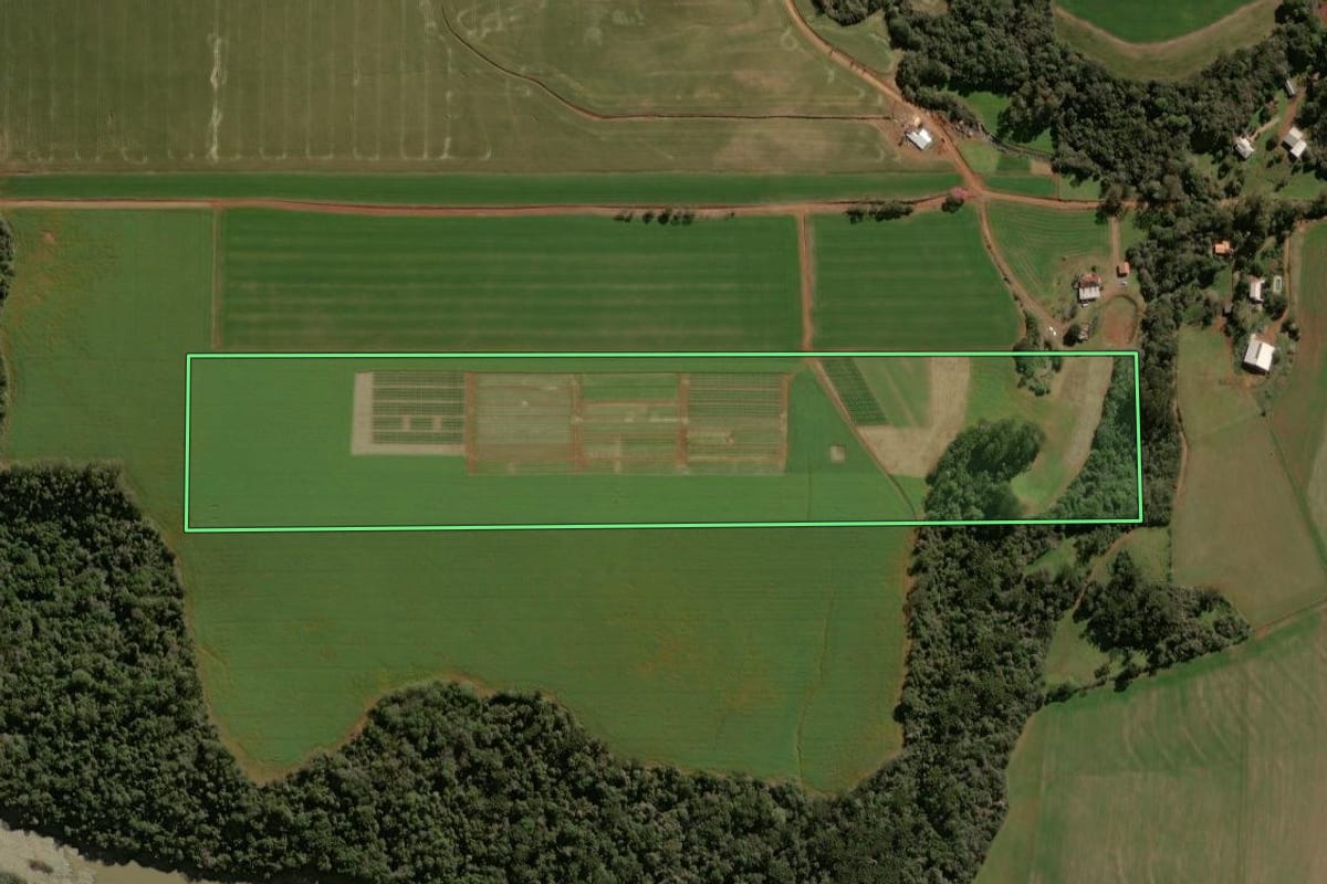 Imagem de satélite do imóvel rural em Tapera (RS), com o contorno declarado no CAR desenhado por cima.