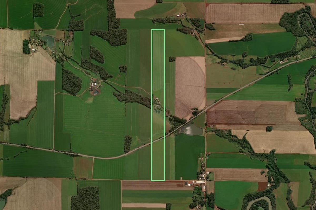 Imagem de satélite do imóvel rural em Tapera (RS), com o contorno declarado no CAR desenhado por cima.