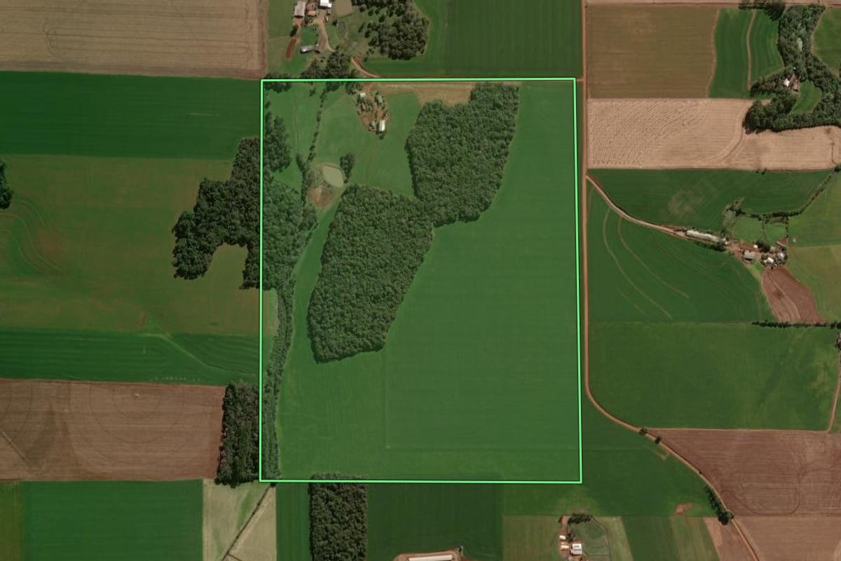 Imagem de satélite do imóvel rural em Tapera (RS), com o contorno declarado no CAR desenhado por cima.