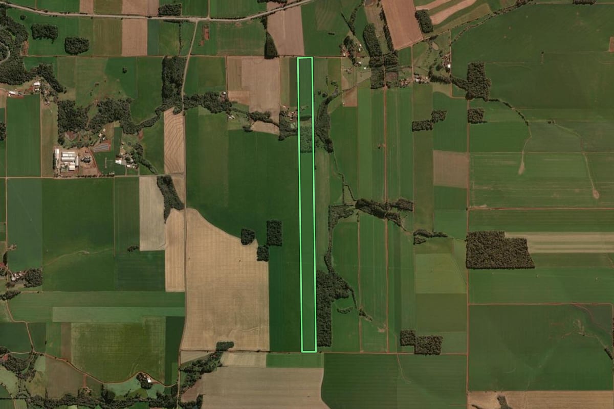 Imagem de satélite do imóvel rural em Tapera (RS), com o contorno declarado no CAR desenhado por cima.