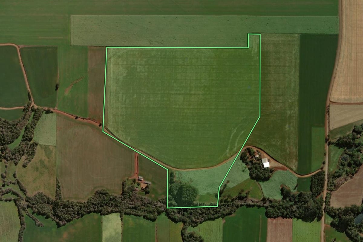 Imagem de satélite do imóvel rural em Tapera (RS), com o contorno declarado no CAR desenhado por cima.