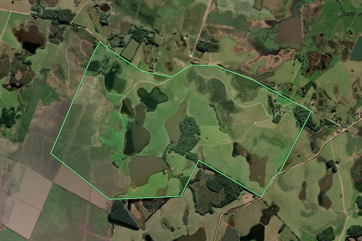 Imagem de satélite do imóvel rural em Tapes (RS), com o contorno declarado no CAR desenhado por cima.