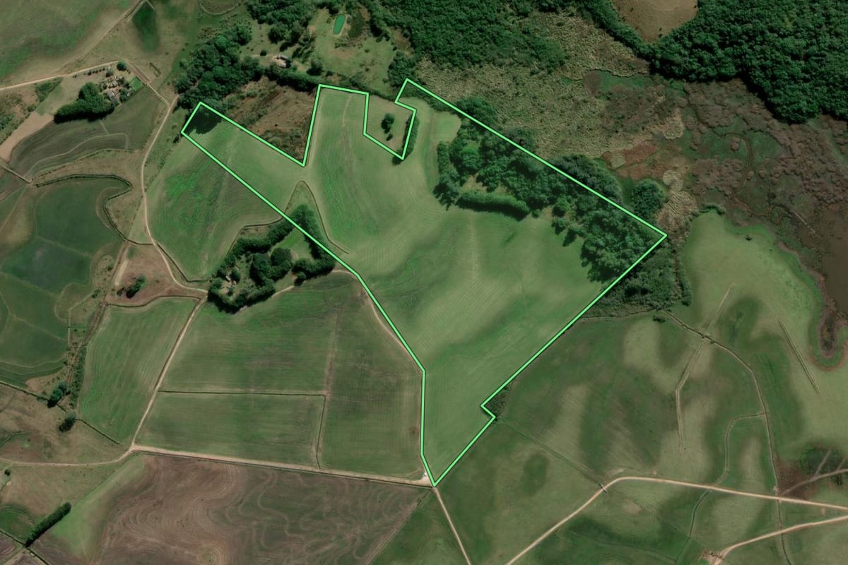 Imagem de satélite do imóvel rural em Tapes (RS), com o contorno declarado no CAR desenhado por cima.