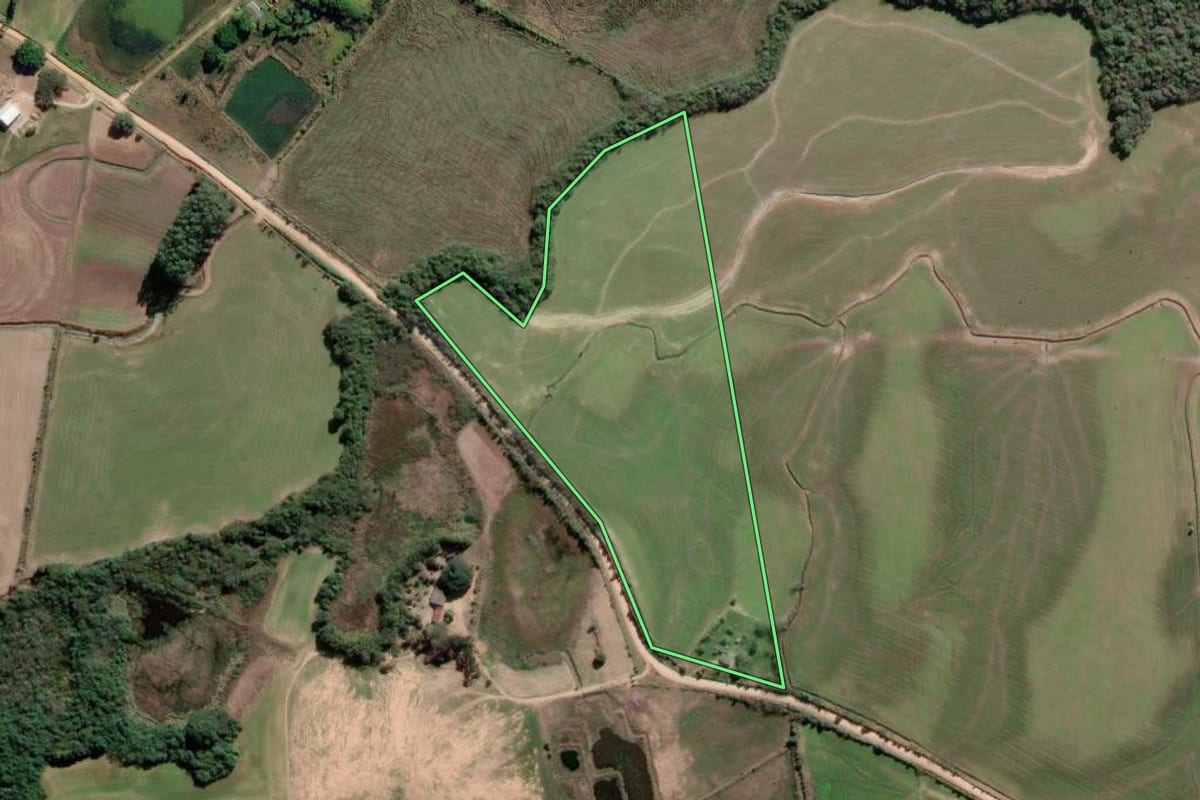 Imagem de satélite do imóvel rural em Tapes (RS), com o contorno declarado no CAR desenhado por cima.