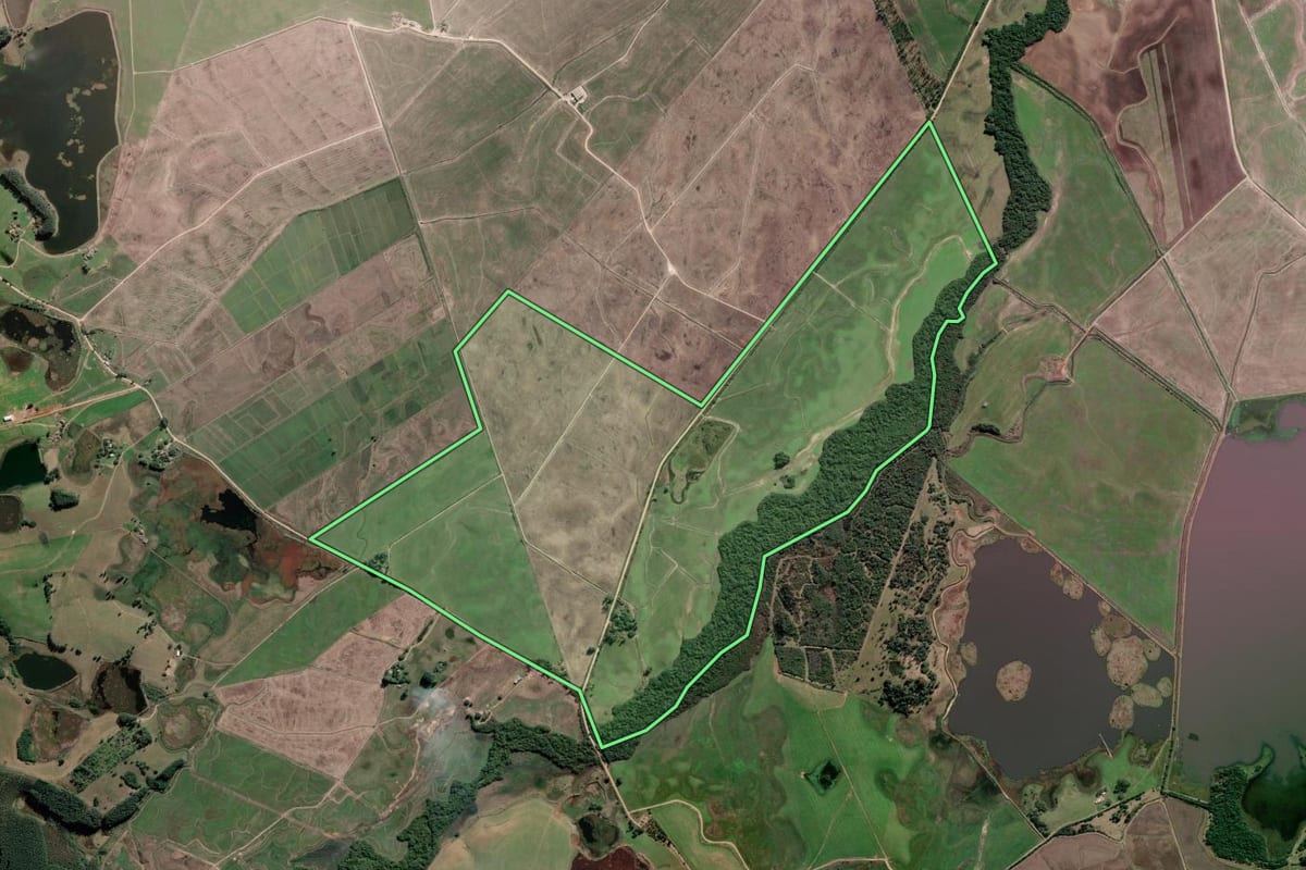 Imagem de satélite do imóvel rural em Tapes (RS), com o contorno declarado no CAR desenhado por cima.