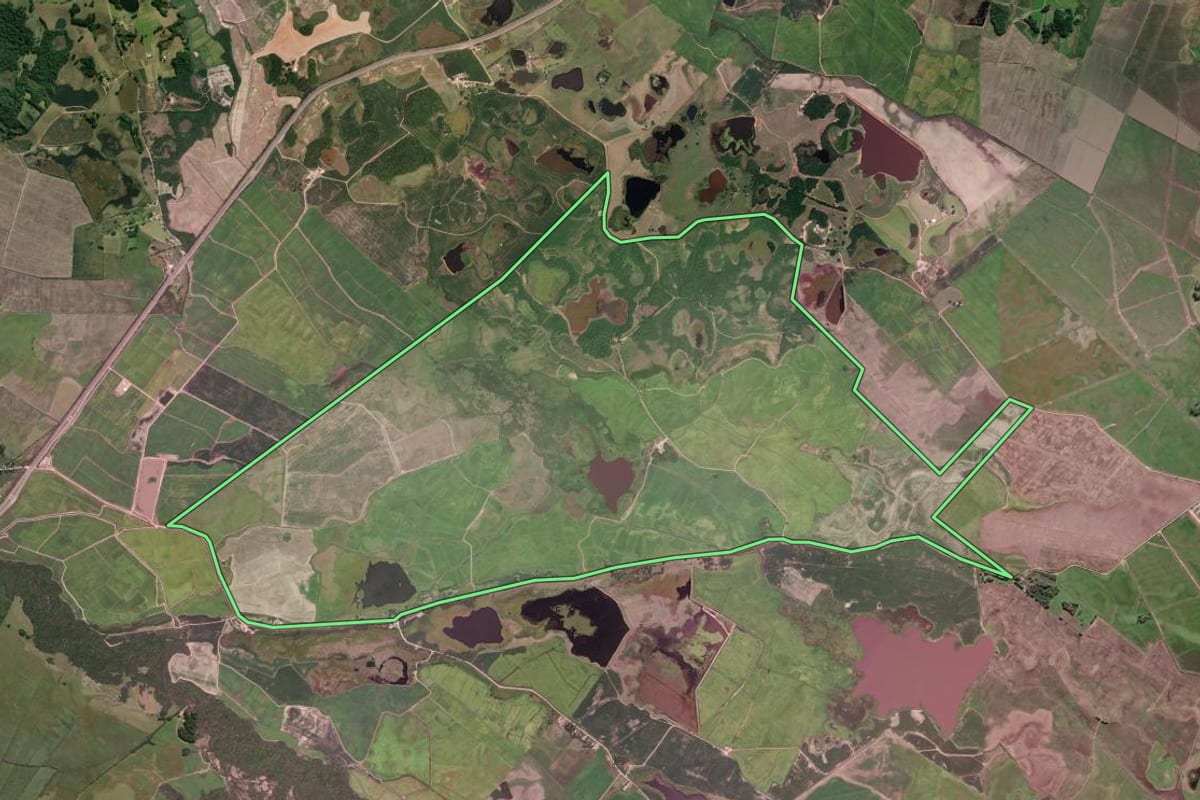 Imagem de satélite do imóvel rural em Tapes (RS), com o contorno declarado no CAR desenhado por cima.