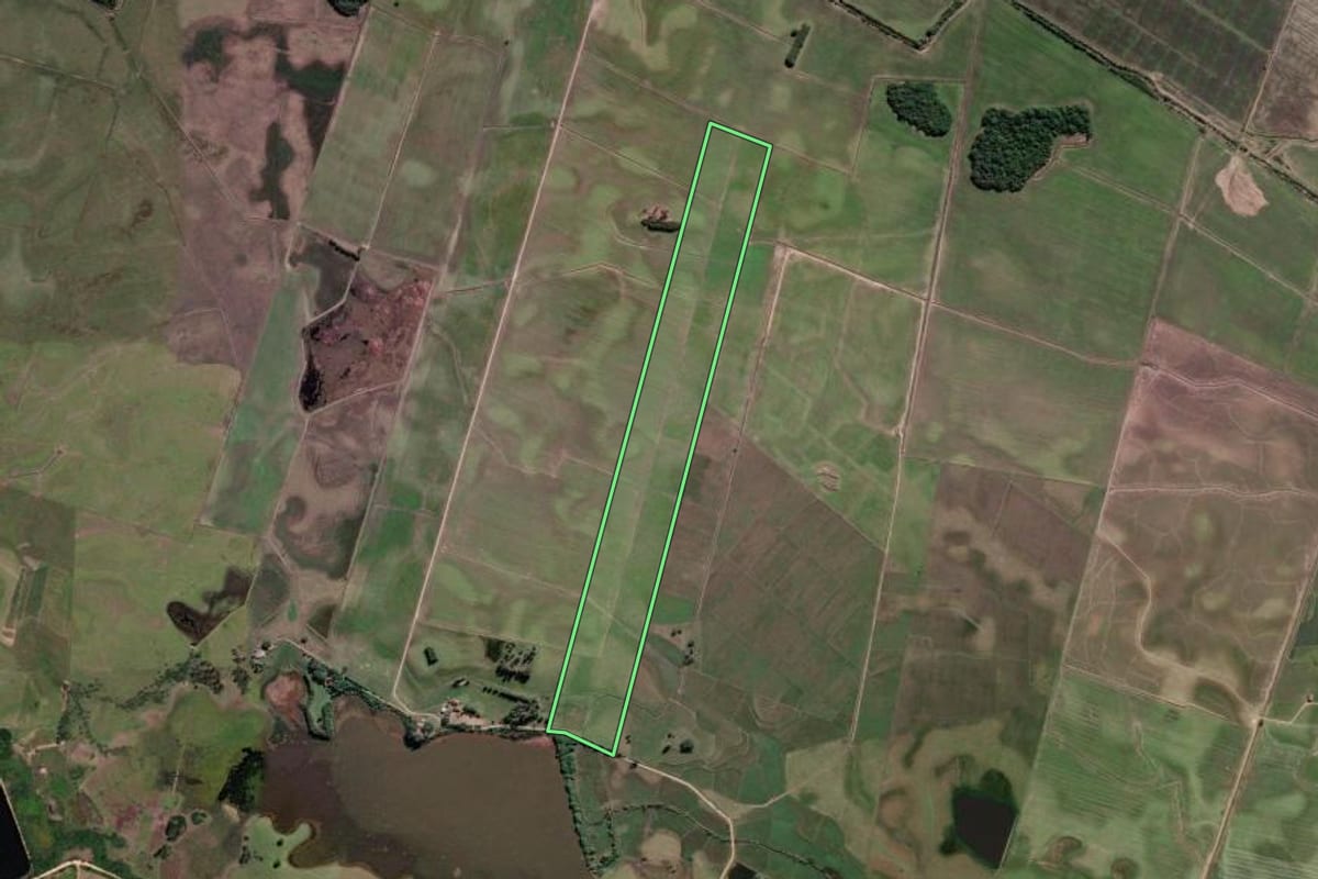 Imagem de satélite do imóvel rural em Tapes (RS), com o contorno declarado no CAR desenhado por cima.
